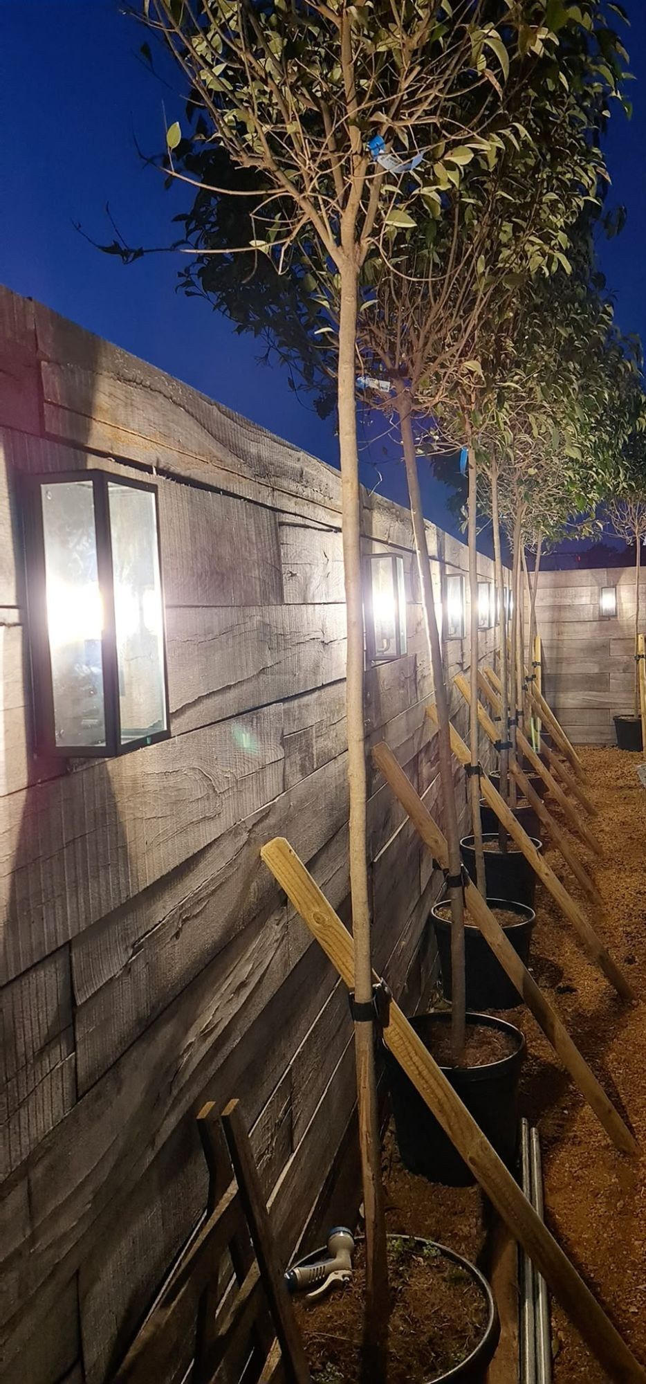 Wall lights glowing along a garden wall at dusk